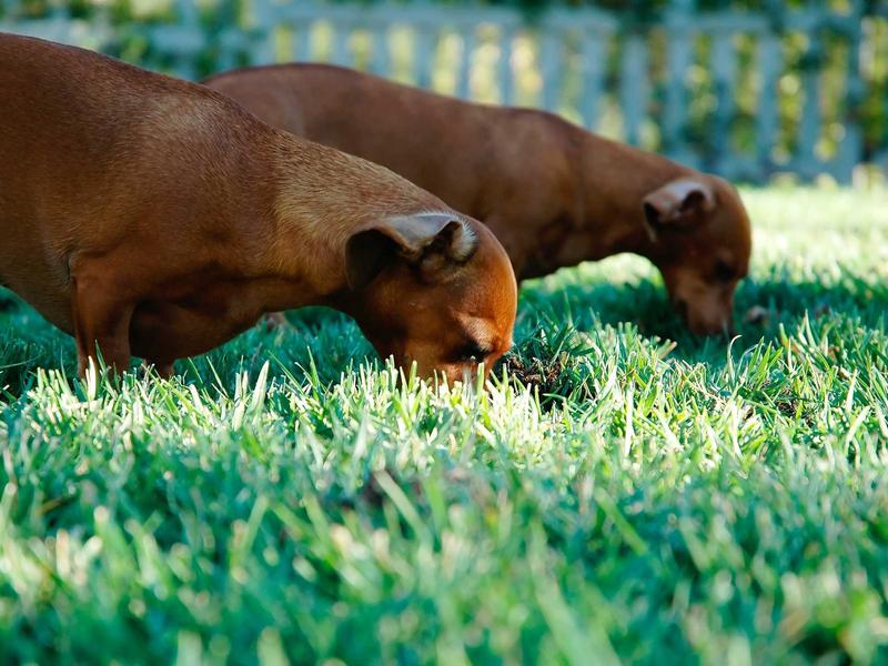 sudoku kakuro screenshot 4