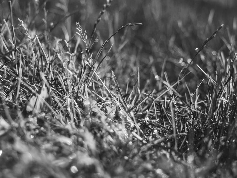 sudoku valid solution screenshot 3